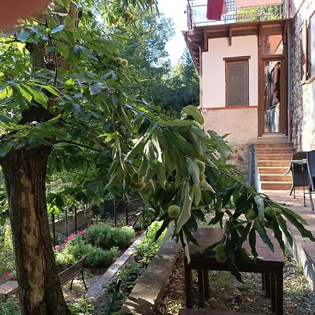 Casa Dei Faggi Apartment Tolfa Exterior photo