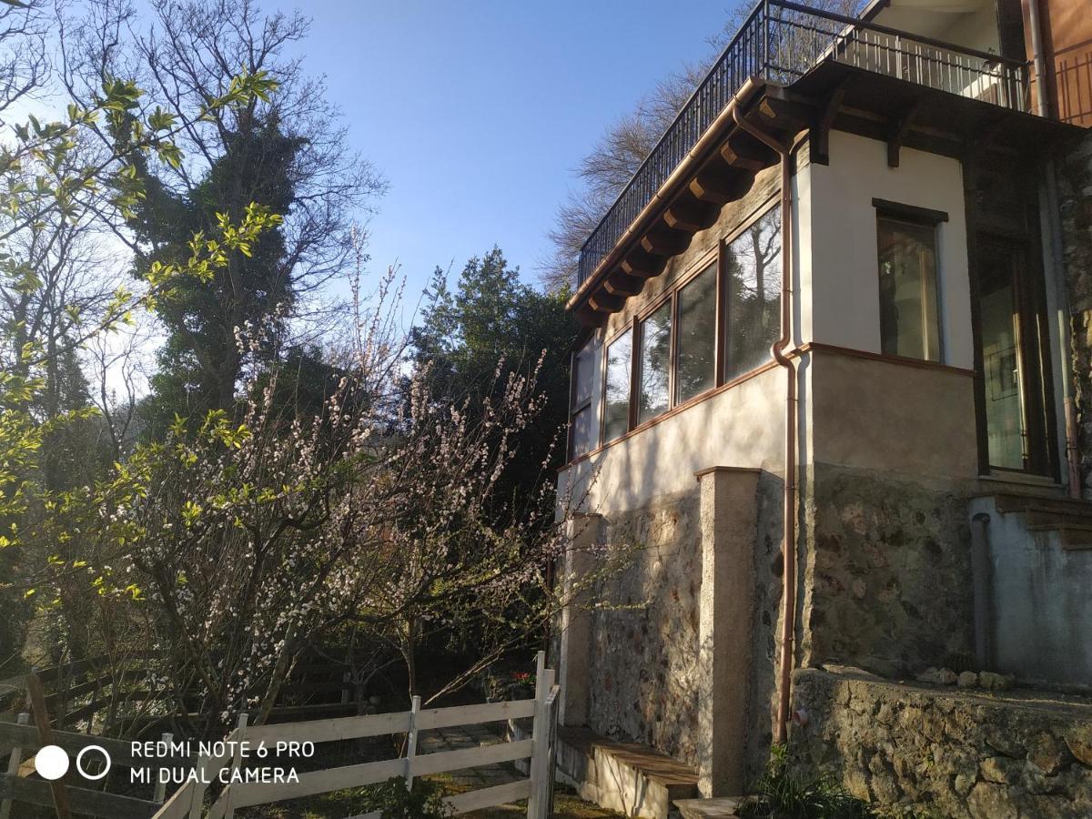 Casa Dei Faggi Apartment Tolfa Exterior photo