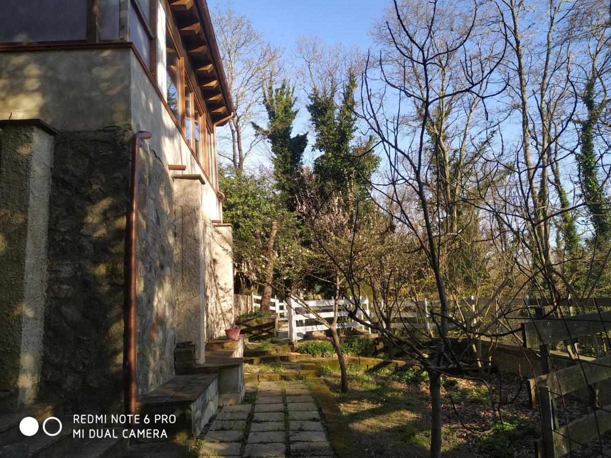 Casa Dei Faggi Apartment Tolfa Exterior photo