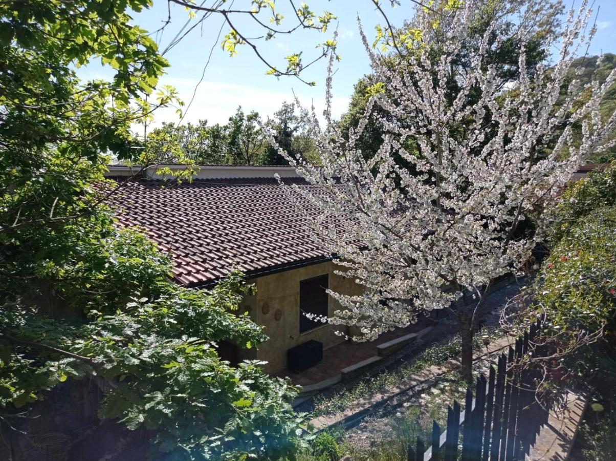 Casa Dei Faggi Apartment Tolfa Exterior photo