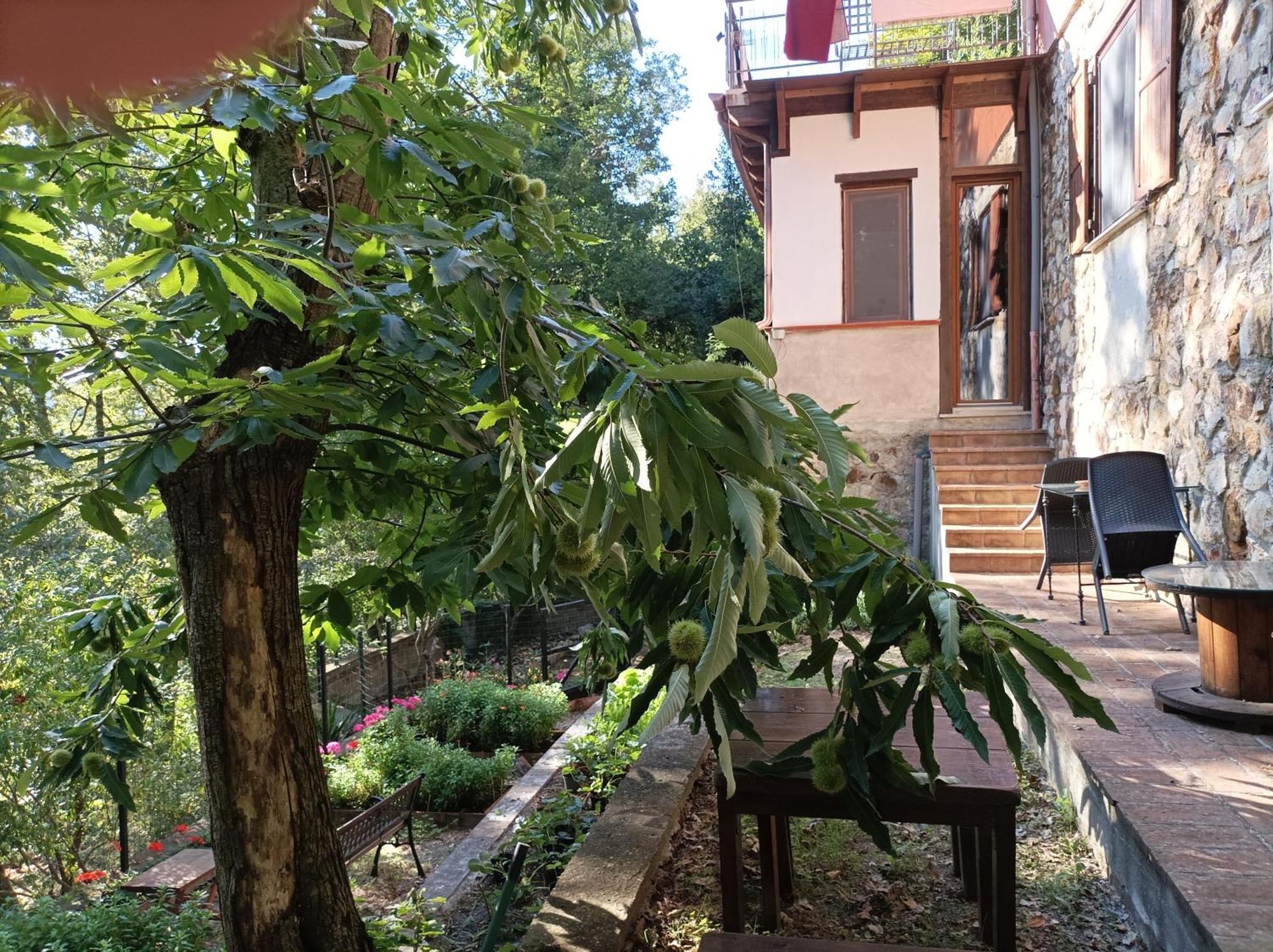 Casa Dei Faggi Apartment Tolfa Exterior photo